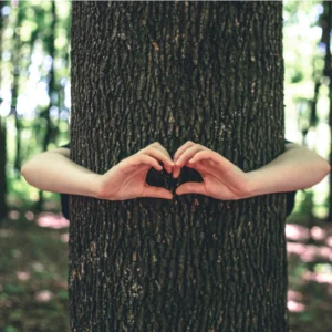 reinvÉntate: vuelve a ti, a tu energía a tu deseo de vivir (copia)